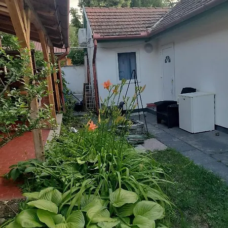 Balassa House