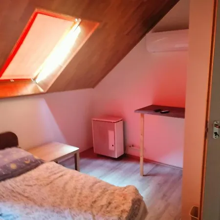 Balassa House Apartmán *